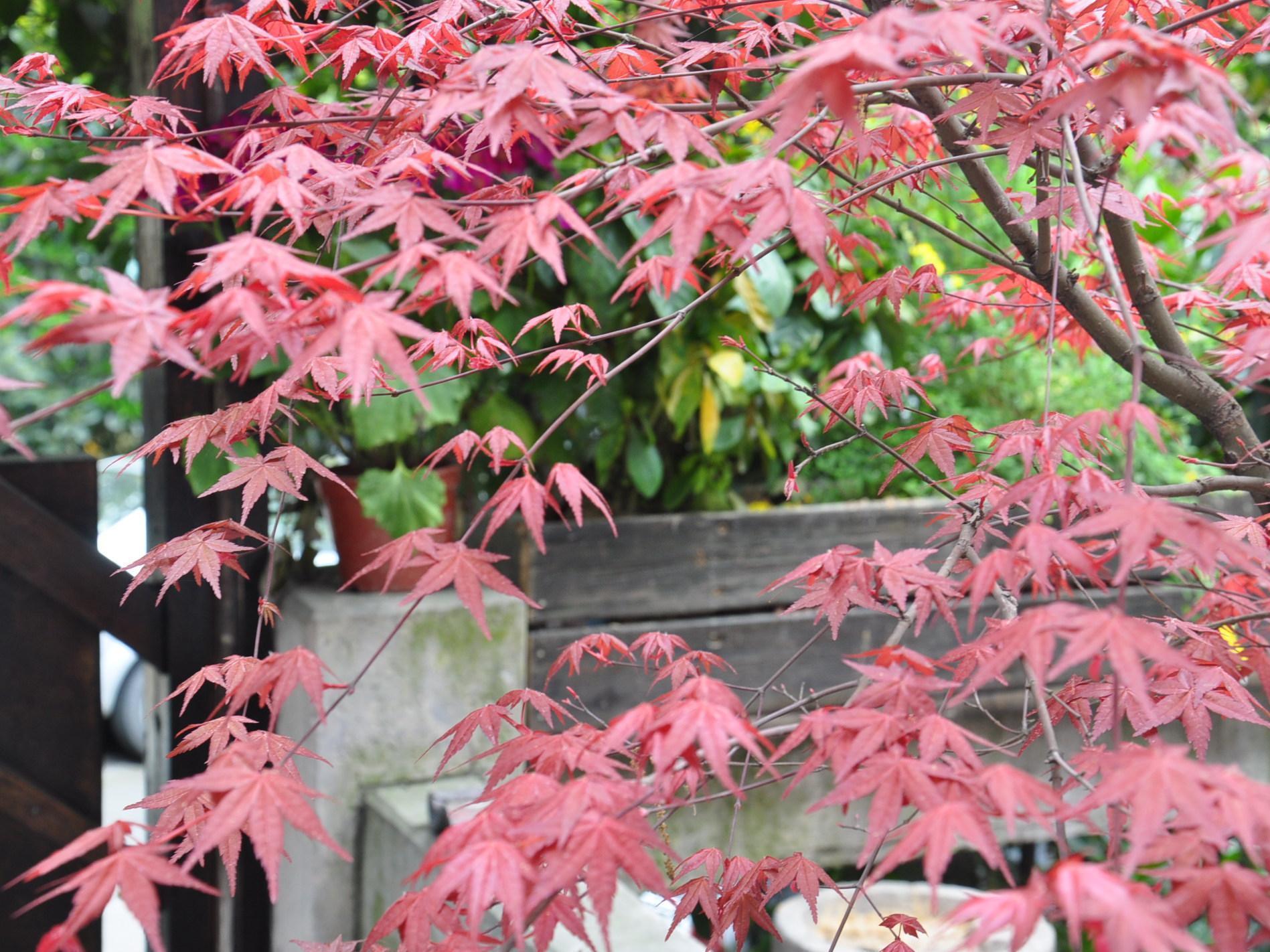 Hangzhou Touran Backpack Hostel エクステリア 写真
